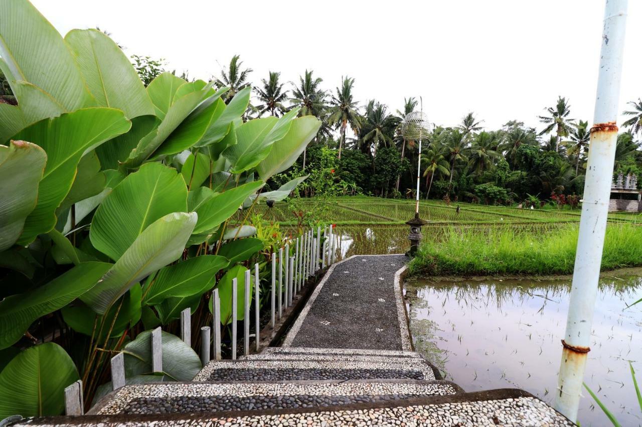 Villa Tirta Padi 2 Ubud المظهر الخارجي الصورة